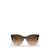 Ralph Lauren Ralph Lauren Sunglasses SHINY GRADIENT BLACK / TRANSPARENT BEIGE