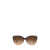 Ralph Lauren Ralph Lauren Sunglasses SHINY GRAD BLACK / TRANSP BEIGE