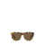 Ralph Lauren Ralph Lauren Sunglasses Brown