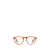 Persol Persol Eyeglasses Brown