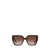 Dolce & Gabbana Dolce & Gabbana Eyewear Sunglasses Brown