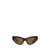 Dolce & Gabbana Dolce & Gabbana Eyewear Sunglasses Brown