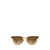 Ray-Ban Ray-Ban Sunglasses HAVANA ON TRANSPARENT BROWN