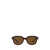 Ray-Ban Ray-Ban Sunglasses Brown