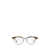 Ray-Ban Ray-Ban Eyeglasses HAVANA ON TRANSPARENT GREEN