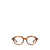 Ray-Ban Ray-Ban Eyeglasses Multicolor