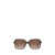 Michael Kors Michael Kors Sunglasses Black