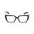 Dolce & Gabbana Dolce & Gabbana Eyeglasses Brown