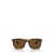 Ray-Ban Ray-Ban Sunglasses Brown