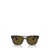 Ray-Ban Ray-Ban Sunglasses Brown