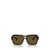 Ray-Ban Ray-Ban Sunglasses Brown