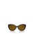 Burberry Burberry Sunglasses Brown