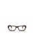 Persol Persol Eyeglasses Brown