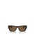 Dolce & Gabbana Dolce & Gabbana Eyewear Sunglasses Brown