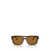 Emporio Armani Emporio Armani Sunglasses Brown