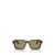 Giorgio Armani Giorgio Armani Sunglasses HAVANA RED / OPALINE OLIVE GREEN