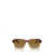 Giorgio Armani Giorgio Armani Sunglasses RED HAVANA / HONEY HAVANA