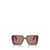 Prada Prada Eyewear Sunglasses BROWN TRANSPARENT