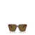 Prada Prada Eyewear Sunglasses TORTOISE COGNAC BEGONIA