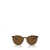 Ray-Ban Ray-Ban Sunglasses HAVANA ON TRANSPARENT