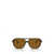 Ray-Ban Ray-Ban Sunglasses Brown