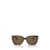 Michael Kors Michael Kors Sunglasses BI LAYER DARK / CREAM TORTOISE