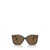 Michael Kors Michael Kors Sunglasses DARK TORTOISE / CREAM TORTOISE