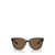 Versace Versace Eyewear Sunglasses Brown