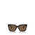 Burberry Burberry Sunglasses Brown