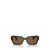 Dolce & Gabbana Dolce & Gabbana Eyewear Sunglasses Brown