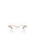 Dolce & Gabbana Dolce & Gabbana Eyewear Eyeglasses CAMEL GRADIENT CRYSTAL