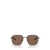 Emporio Armani Emporio Armani Sunglasses MATTE BROWN