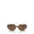 Emporio Armani Emporio Armani Sunglasses SHINY STRIPED BROWN