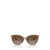 Michael Kors Michael Kors Sunglasses BROWN TRANSPARENT