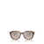 Michael Kors Michael Kors Sunglasses BROWN HORN