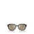 Michael Kors Michael Kors Sunglasses OLIVE HORN