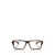 Ralph Lauren Polo Ralph Lauren Eyeglasses MATTE DARK HAVANA