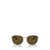 Ralph Lauren Polo Ralph Lauren Sunglasses HAVANA / ANTIQUE GOLD