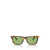 Ralph Lauren Polo Ralph Lauren Sunglasses SHINY RED HAVANA