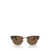 Ralph Lauren Polo Ralph Lauren Sunglasses SHINY BROWN TORTOISE