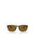 Persol Persol Sunglasses STRIPED BROWN GRADIENT RED