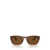 Persol Persol Sunglasses STRIPED BROWN GREEN