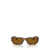 Persol Persol Sunglasses BROWN HAVANA