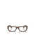 Persol Persol Eyeglasses BROWN HAVANA