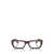 Persol Persol Eyeglasses Brown