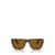 Persol Persol Sunglasses BROWN HAVANA