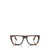 Persol Persol Eyeglasses BROWN HAVANA