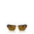 Persol Persol Sunglasses TORTOISE BROWN / GOLD