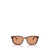 Prada Prada Eyewear Sunglasses MAGMA TORTOISE