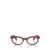 Ray-Ban Ray-Ban Eyeglasses Multicolor